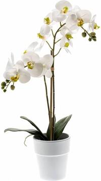 Emerald Kunst Phalaenopsis orchidee wit 65cm