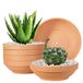 Terra Laergin Terra Cotta potten, 16 cm ondiepe terracotta kleipotten met afvoergat, 6 stuks