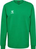 Hummel Hmlauthentic Co Training Sweat 220010
