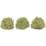Busch-Jaeger Busch 3606 Struik Lente 40 mm