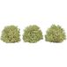 Busch-Jaeger Busch 3606 Struik Lente 40 mm