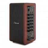 Hartwood Draagbare 60W Akoestische Versterker met Bluetooth