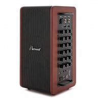 Hartwood Draagbare 60W Akoestische Versterker met Bluetooth