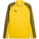 PUMA teamLIGA26 Training 1/4 Zip Top