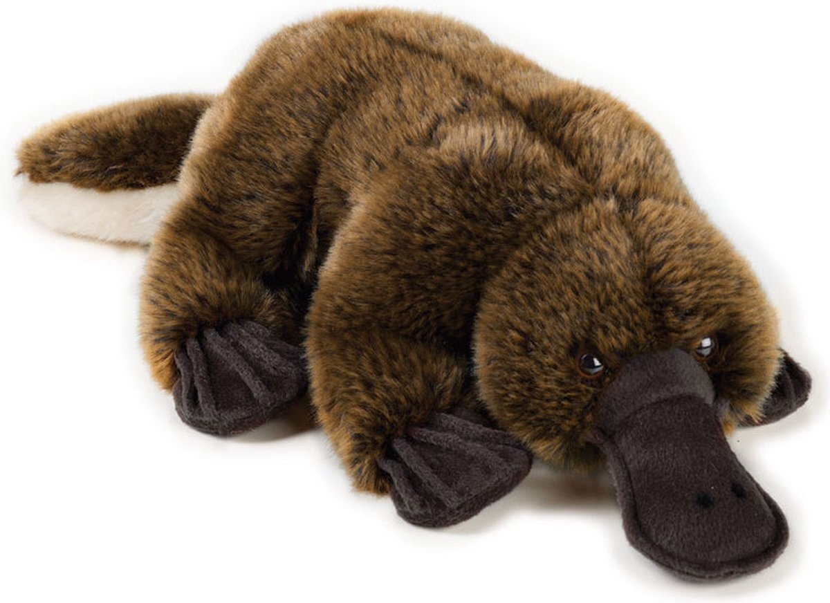 National Geographic Knuffeleekhoorn Junior 26 Cm Pluche Bruin