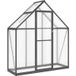 Maison Exclusive Serre avec cadre de base anthracite 169x58x195 cm aluminium