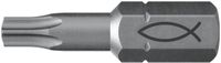 Fischer 10x ProfiBit FPB T 30 - 557849