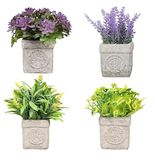 King Home Kunstplanten set van 4 stuks in transparante doos van acetaat