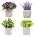 King Home Kunstplanten set van 4 stuks in transparante doos van acetaat