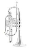 Roy Benson Bb-Cornet CR-302S