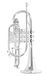 Roy Benson Bb-Cornet CR-302S