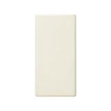 Elektrische Legrand Elektrische mechanismen - Serie 27-27800-31 blindplaat IVORY