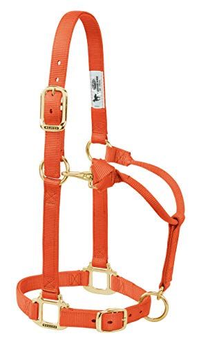 Weaver Leather Origineel Regelbaar Nylon Paardhalster - Oranje - Pony