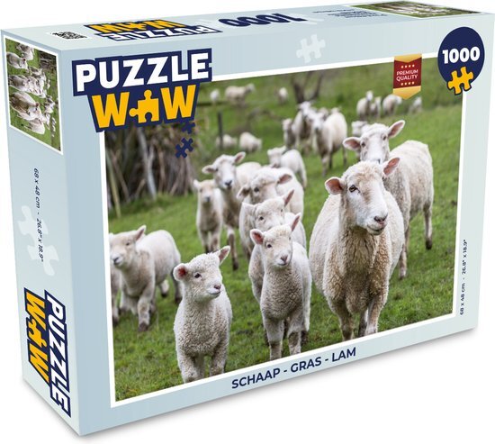 MuchoWow Puzzel Schaap - Gras - Lam - Legpuzzel - Puzzel 1000 stukjes volwassenen