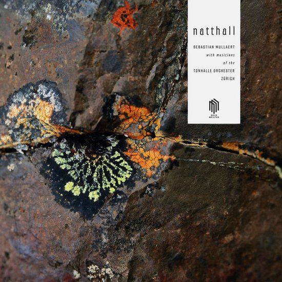 Brilliant Classics Sebastian Mullaert - Natthall (2 LP)