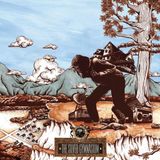 The Okkervil River The Silver Gymnasium (LP)