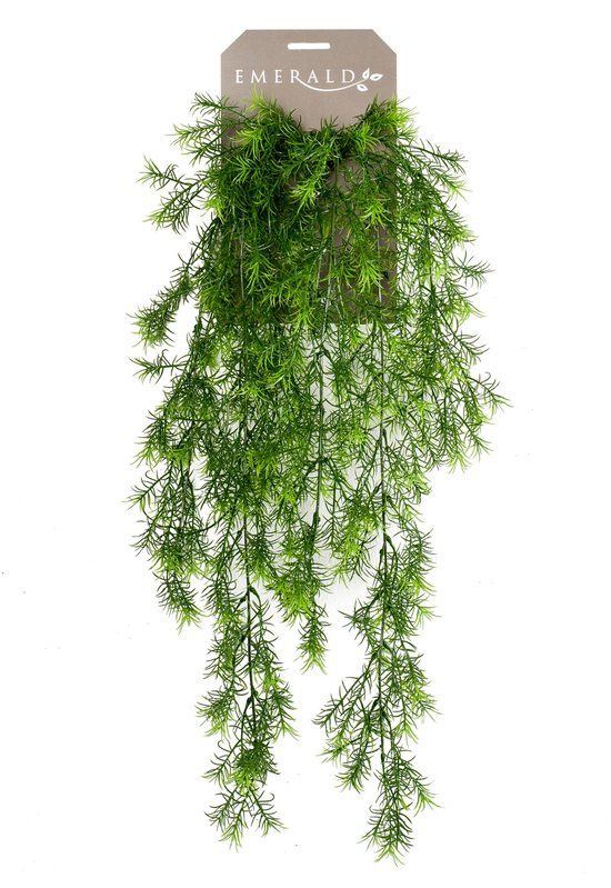 Emerald - Kunst Hangplant Asparagus Sprengeri 75cm - Kunstplant voor binnen