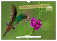 Colibris CALVENDO Colibris - éclats de nature (Calendrier mural 2027 DIN A3 vertical), CALVENDO calendrier mensuel
