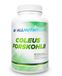 Allnutrition Coleus Forskohlii 90 Capsules