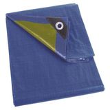 Perel Dekzeil - Blauw/Groen - Standaard - 2 X 4 M