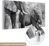 MuchoWow® Glass Painting 40x20 cm - Elephant - Black and White - Acrylic Glass