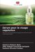 Sérum Libri GmbH Sérum pour le visage végétalien