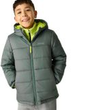 Regatta Kinderjas met capuchon Lofthouse 8-9 jaar Unisex Grijs/Groen