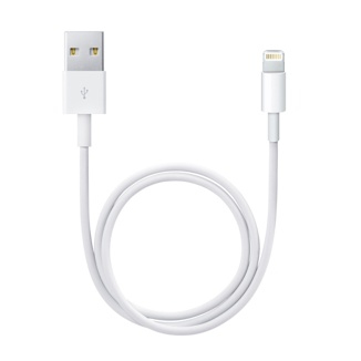 Apple   Lightning / USB