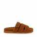 Steve Madden Dames muiltjes Missile-F Kameel/Oranje