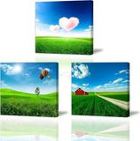 Merkloos / Sans marque Grasland Landschap Canvas Schilderij - Modern Kunstwerk voor Woondecoratie - Set van 3 met Houten Frame