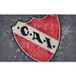 LUMALÉA C.a.i Papier Peint Panoramique Foot / Football - 512 Cm X 320 Cm