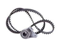 INA 530 0249 10 Distributieriem Kit