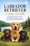 Labrador Retriever Care Guide