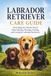 Labrador Retriever Care Guide