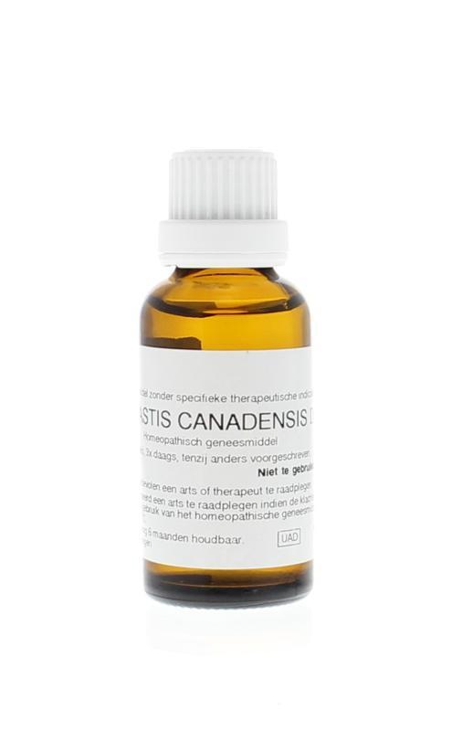 Heel Hydrastis canadensis d6 30ml