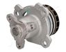 JAPANPARTS JPPQ-153 Pompa Acqua