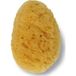 Acofar - Éponge naturelle petite taille 1 pièce