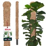 KOTARBAU® Kokosstok, Plantenstok, ⌀ 3,2 x 80 cm, Kokosstaaf, Klimhulp Monstera, Bruin, Kokosvezel