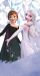 Frozen serviette de plage Wonderland 70 x 140 cm