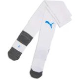 TeamLIGA26 Puma TeamLiga26 Core Sokken