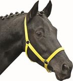 HKM Halster -Stars Economy Softice- neongeel Koudbloed paard