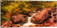 Merkloos / Sans marque Tuinposter - Kleine Waterval door het Bos - 100x50 cm - Kunststof - Rechthoek