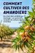 Comment cultiver des amandiers: Du choix des variétés au stockage : un système complet de culture des amandes