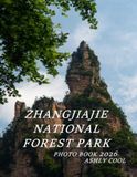 Zhangjiajie National Forest Park: Cool Pictures That Create An Idea For You About - Perfect Gift for tourism & travel lovers.....Relaxing & Meditation.