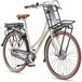 Telefunken E-Bike Cityrad Multitalent RT540