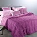 Caleffi Zyclamino 55154 Microvezel-verwarmingsbed, overgangsperiode, voor Frans bed en bed