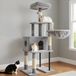 Markenlos Famanu Grote kattenboom met comfortabel platform, luxe krabpaal voor meerdere katten