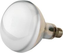 Kerbl Infra - roodlamp - 150w Hardglas - Wit