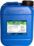 Claudius Cosmetics Benelux B.V. Claudius Cosmetics Benelux Stoombadmelk Eucamint 5 liter