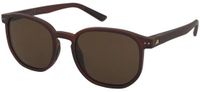 Alpina Zonnebril Dimont Brown-Transparent Matt/Brown